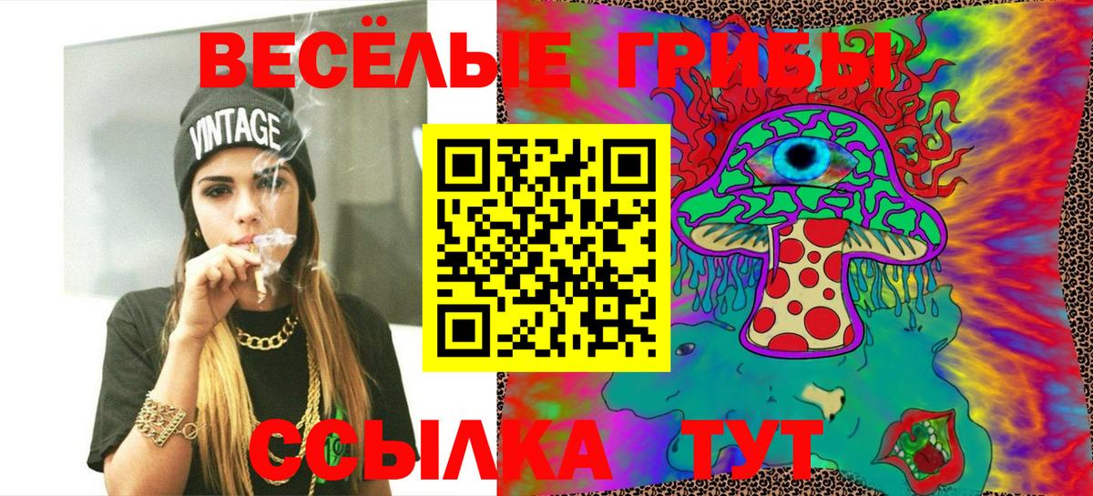 Галлюциногенные грибы ЛСД  Вход с VPN  Камышлов 