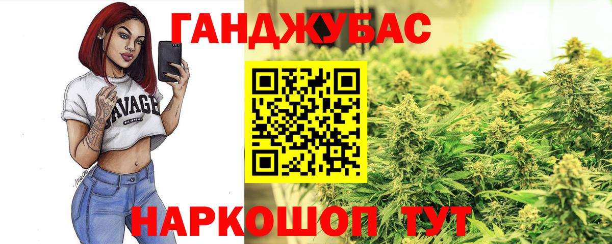 Камышлов  Конопля планчик  Канабис VHQ  Марихуана план  Вход с VPN 